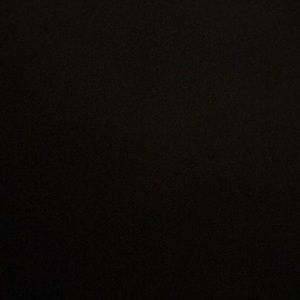 Meet your Posher, Jasmin